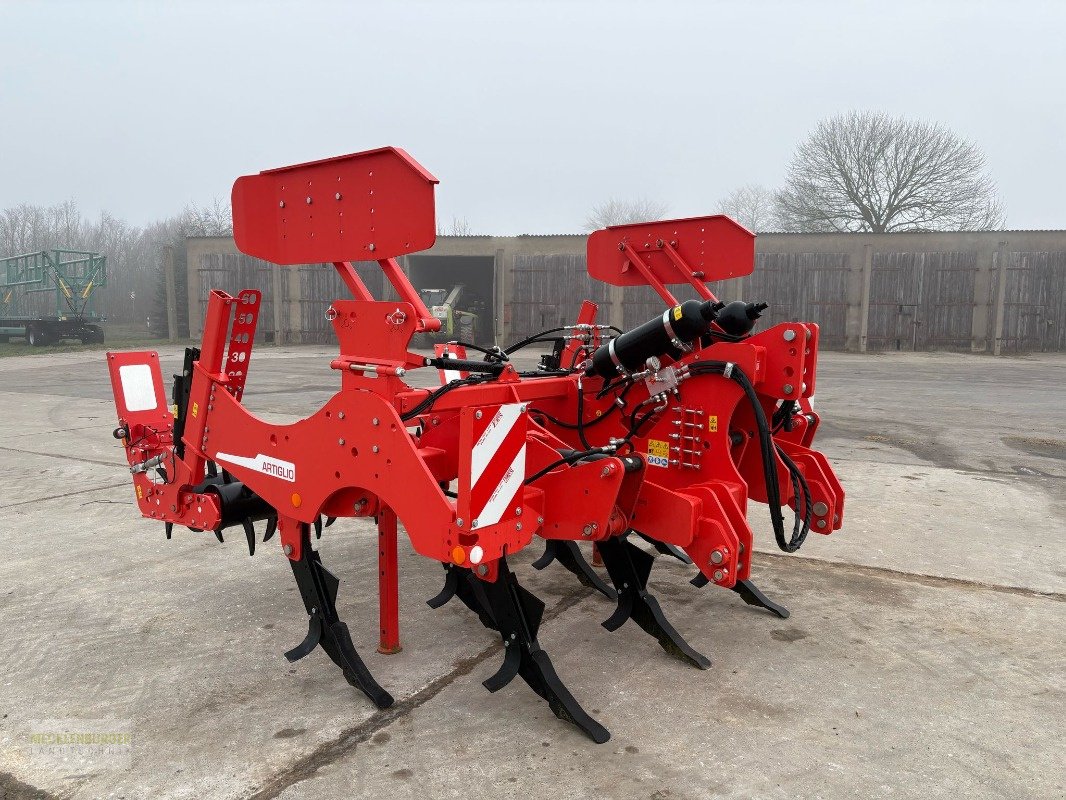 Tiefenlockerer des Typs Maschio ARTIGLIO 300  Tiefenmeißel, Gebrauchtmaschine in Mühlengeez (Bild 8)