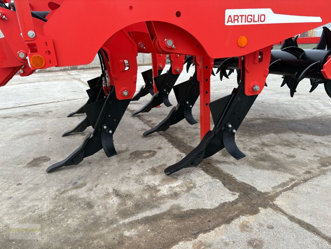Tiefenlockerer des Typs Maschio ARTIGLIO 300  Tiefenmeißel, Gebrauchtmaschine in Mühlengeez (Bild 10)