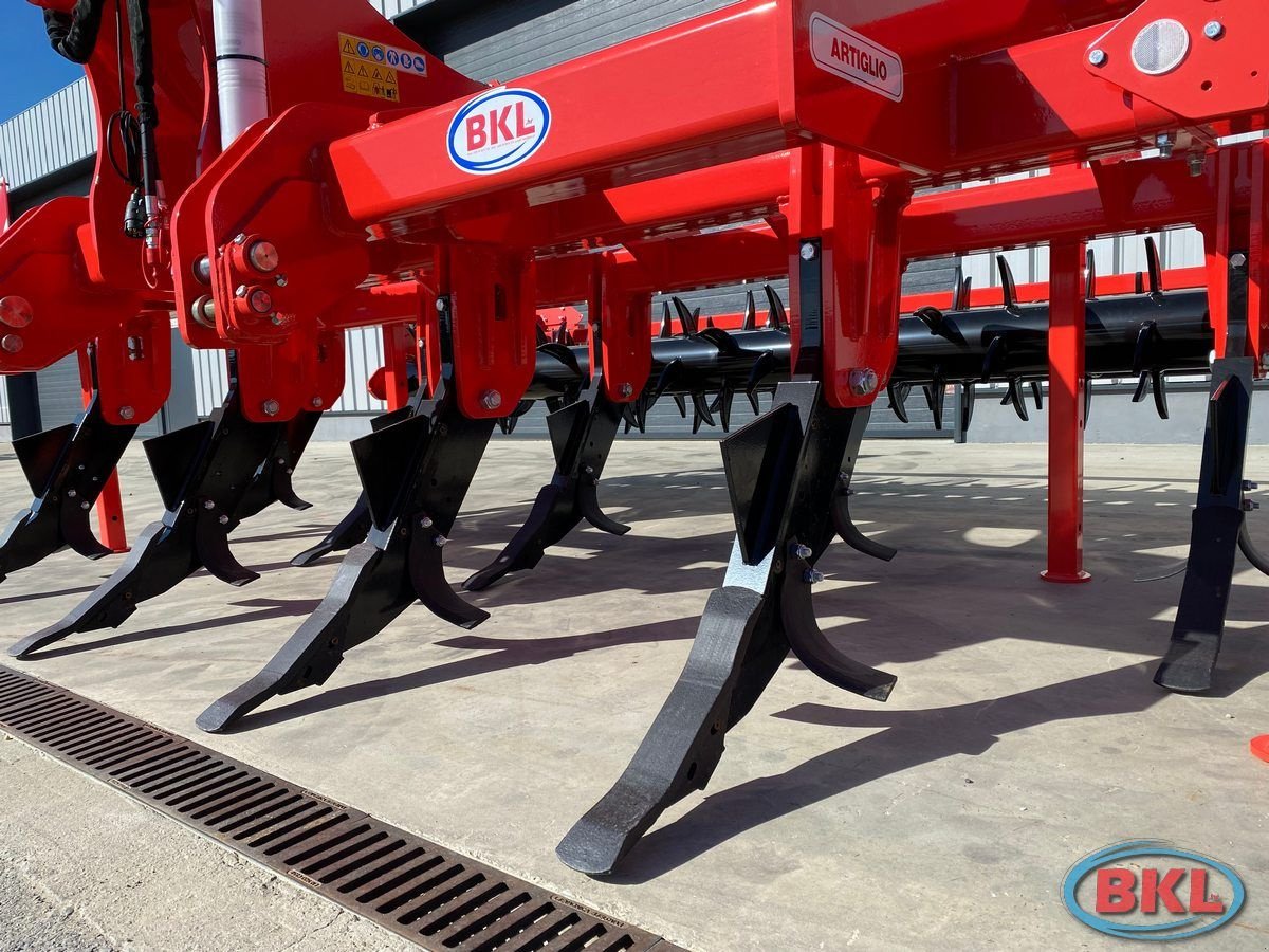 Tiefenlockerer des Typs Maschio ARTIGLIO 400-9, Neumaschine in Rovisce (Bild 11)