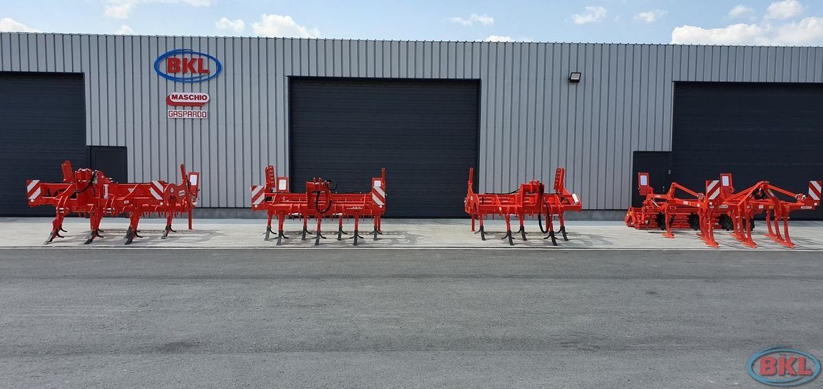 Tiefenlockerer del tipo Maschio Attila 250/5, Neumaschine In Rovisce (Immagine 10)