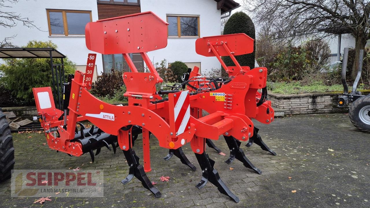 Tiefenlockerer del tipo Maschio ATTILA 300 + hydr. Randbleche, Neumaschine In Groß-Umstadt (Immagine 3)