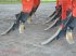 Tiefenlockerer tipa Maschio Attila CSS 300 HYDRO, Neumaschine u Suhlendorf (Slika 8)