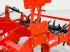 Tiefenlockerer tipa Maschio Pinocchio 250/5 2.5 m subsoiler, 45 cm working depth, 5 loosening blades, hydraulic double tine cultivator, Gebrauchtmaschine u Csengele (Slika 18)