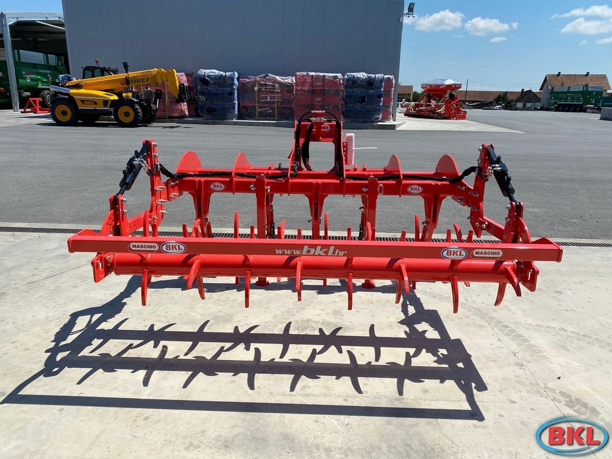 Tiefenlockerer tipa Maschio Pinocchio 250/5 Hydraulische Walze, Neumaschine u Rovisce (Slika 8)