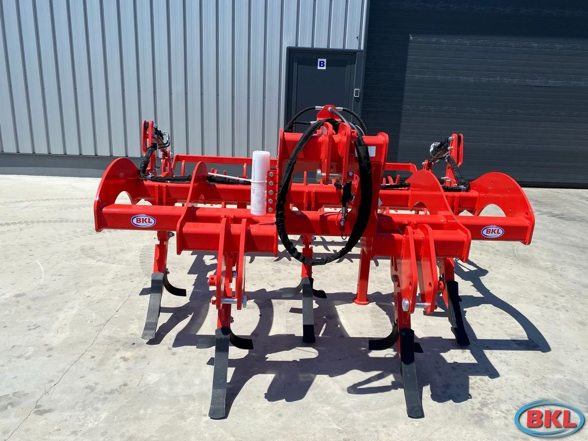 Tiefenlockerer tipa Maschio Pinocchio 250/5 Hydraulische Walze, Neumaschine u Rovisce (Slika 7)