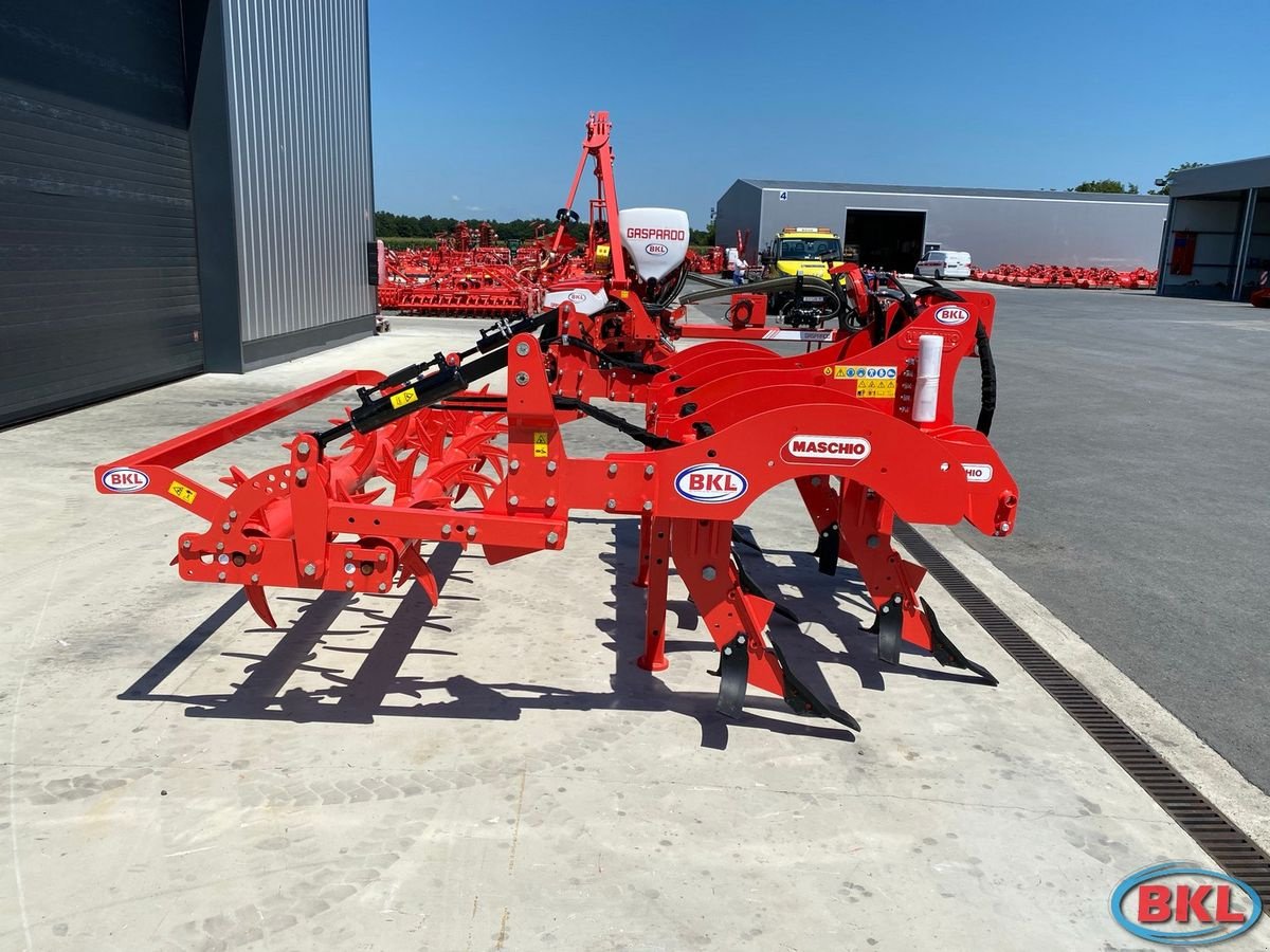 Tiefenlockerer tipa Maschio Pinocchio 250/5 Hydraulische Walze, Neumaschine u Rovisce (Slika 5)