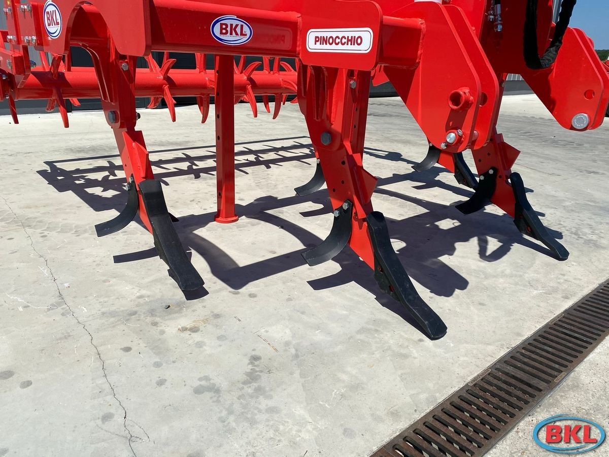 Tiefenlockerer tipa Maschio Pinocchio 250/5 Hydraulische Walze, Neumaschine u Rovisce (Slika 9)