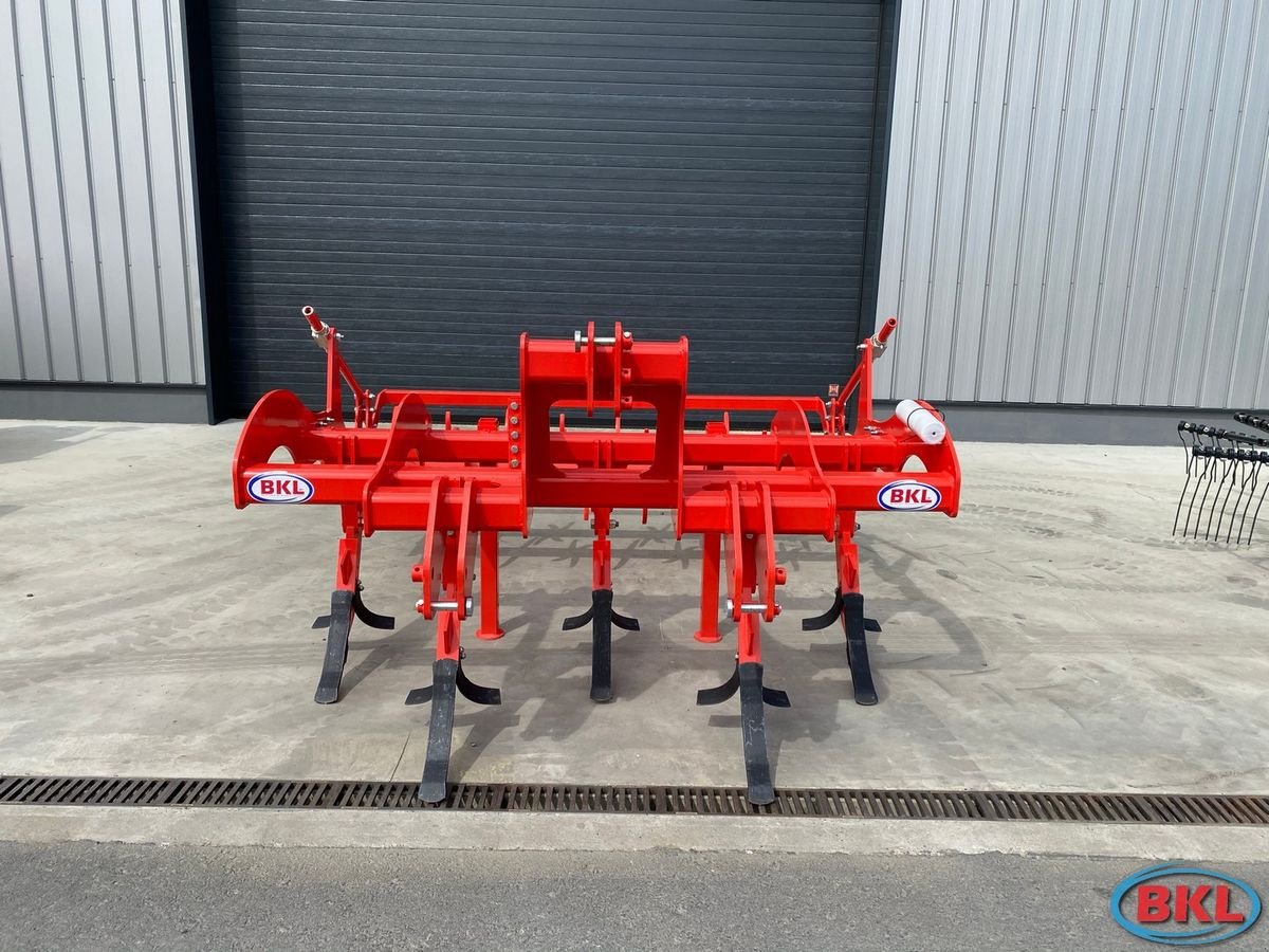 Tiefenlockerer des Typs Maschio Pinocchio 250/5, Neumaschine in Rovisce (Bild 4)