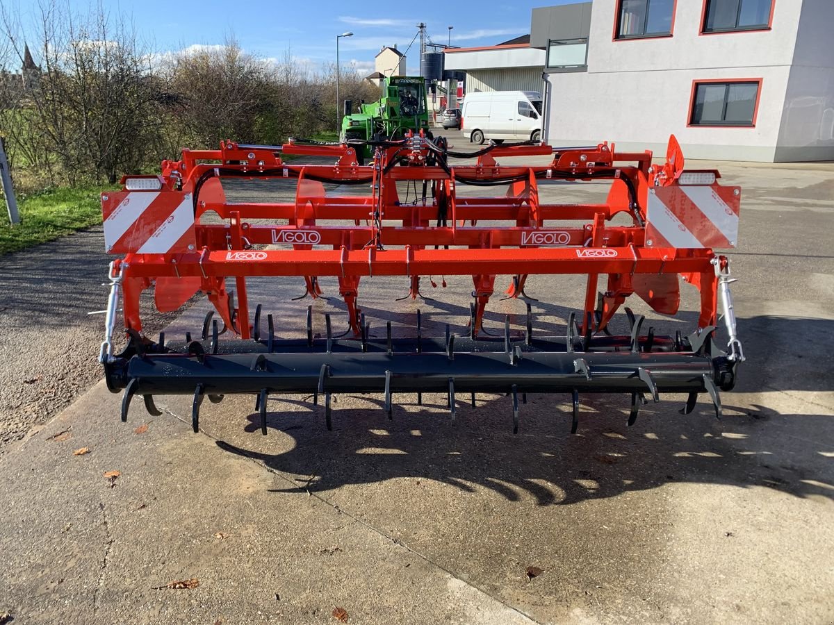 Tiefenlockerer van het type Vigolo Tiefenlockerer DIG 780/7L, Neumaschine in Starrein (Foto 4)