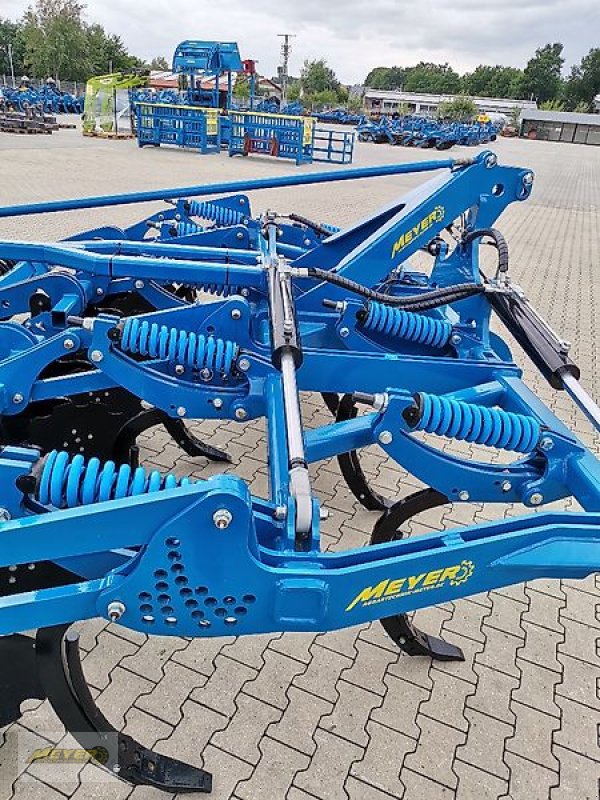 Tiefenlockerer del tipo WM Meyer SZ 4000 XXL Sauzahn gefedert, Neumaschine en Andervenne (Imagen 17)