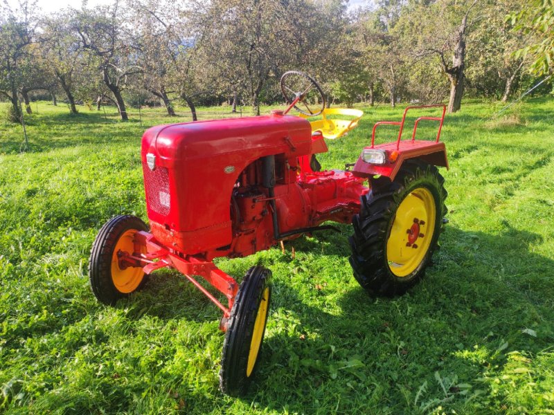 Traktor des Typs Allgaier A 12, Gebrauchtmaschine in Plattling (Bild 1)