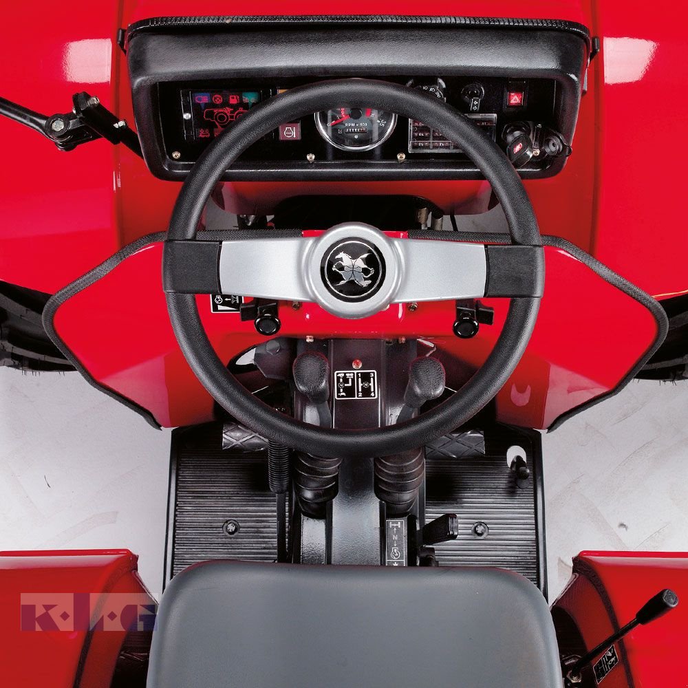 Traktor typu Antonio Carraro Tigre 3200, Neumaschine v Stein (Obrázek 2)