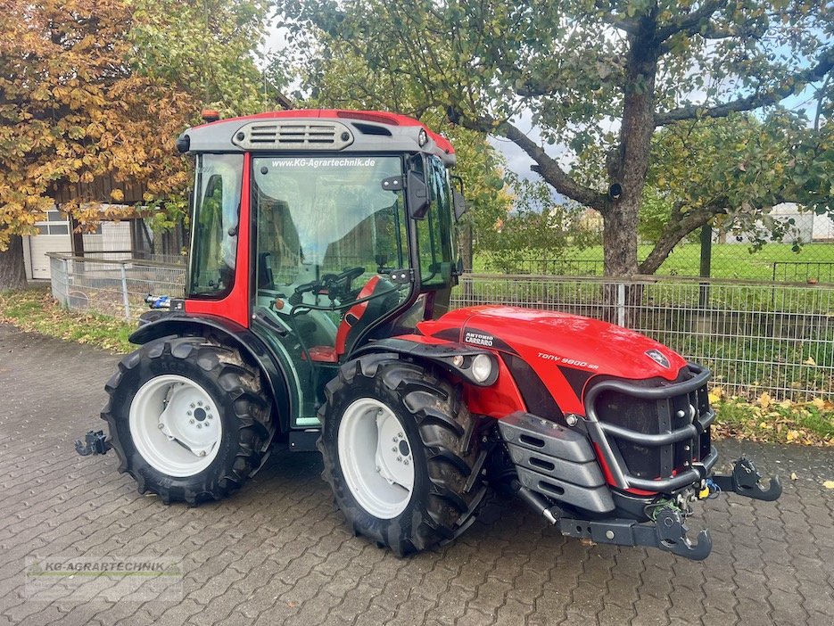 Traktor του τύπου Antonio Carraro Tony 9800 SR, Gebrauchtmaschine σε Langensendelbach (Φωτογραφία 19)
