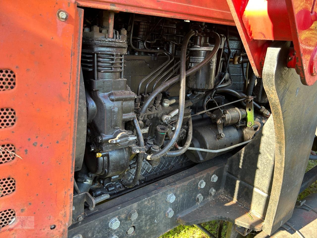 Traktor typu Belarus 920 (Motor neu), Gebrauchtmaschine v Pragsdorf (Obrázek 18)