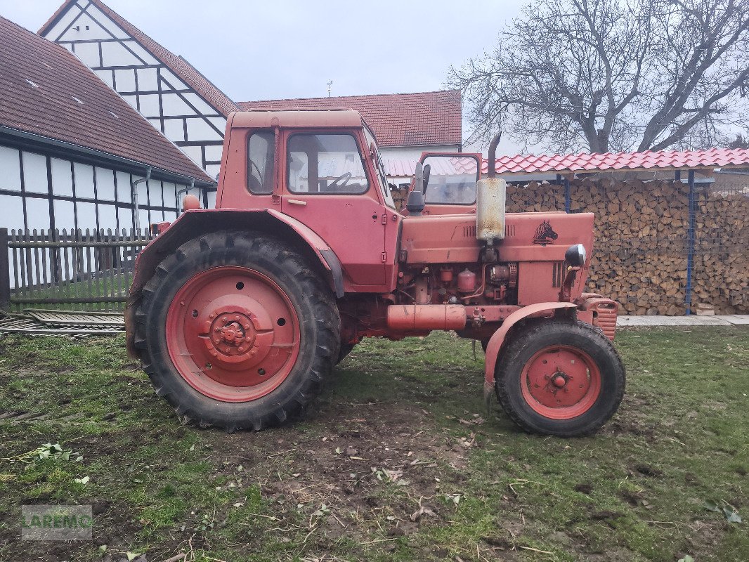 Traktor des Typs Belarus MTS 80, Gebrauchtmaschine in Langenwetzendorf (Bild 1)