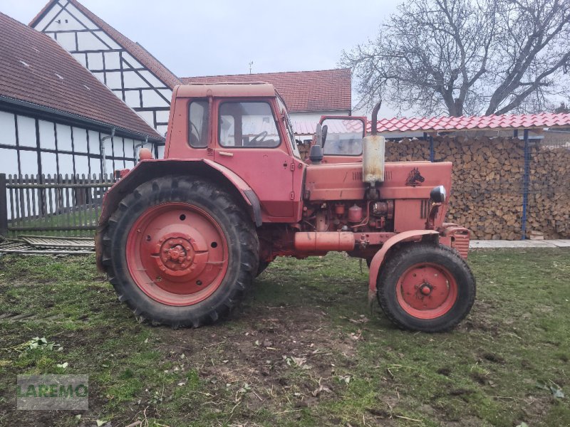 Traktor des Typs Belarus MTS 80, Gebrauchtmaschine in Langenwetzendorf (Bild 1)