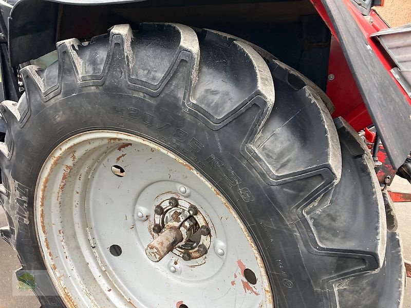 Traktor типа Belarus MTS 82 mit Frontlader, Gebrauchtmaschine в Salsitz (Фотография 26)