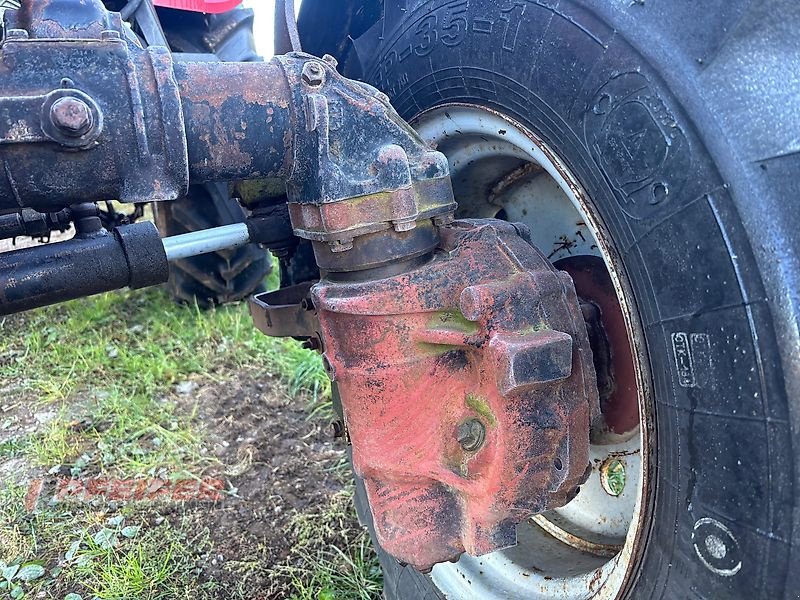 Traktor typu Belarus MTS 82, Gebrauchtmaschine v Elleben OT Riechheim (Obrázok 4)
