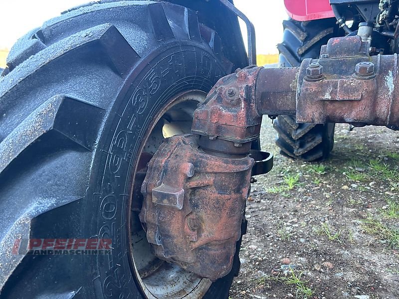 Traktor typu Belarus MTS 82, Gebrauchtmaschine v Elleben OT Riechheim (Obrázok 3)