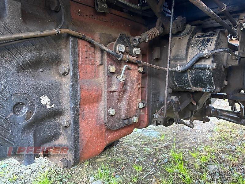 Traktor typu Belarus MTS 82, Gebrauchtmaschine v Elleben OT Riechheim (Obrázok 10)