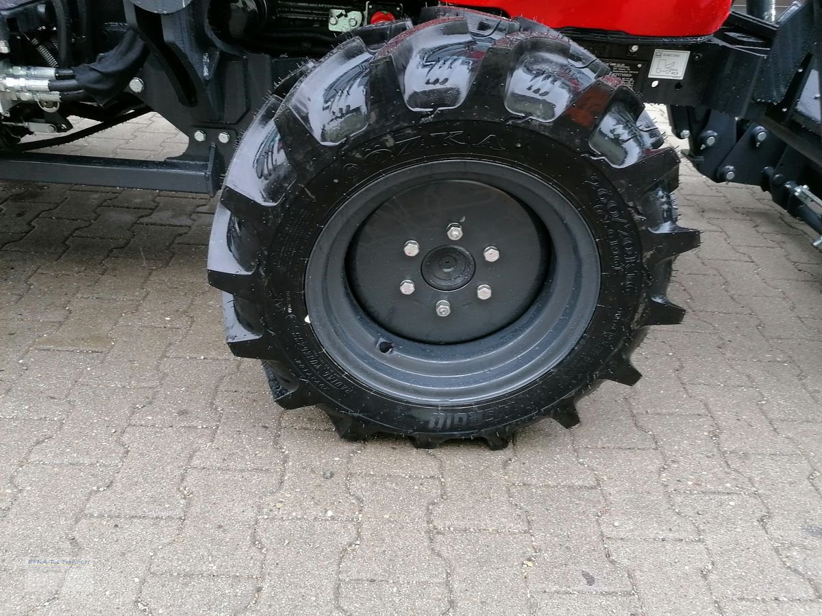 Traktor des Typs Branson F50Rn, Neumaschine in Obing (Bild 4)