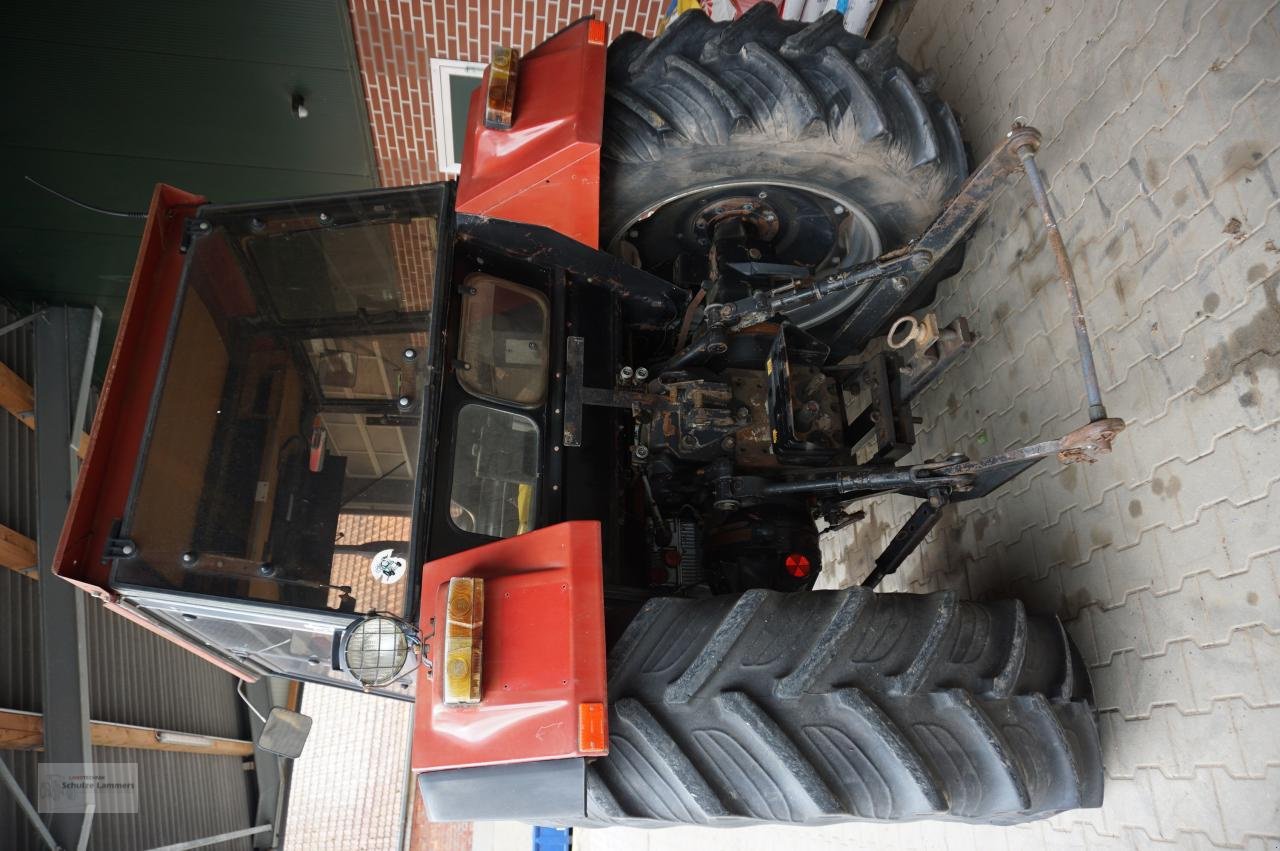Traktor des Typs Case IH 1056, Gebrauchtmaschine in Borken (Bild 7)