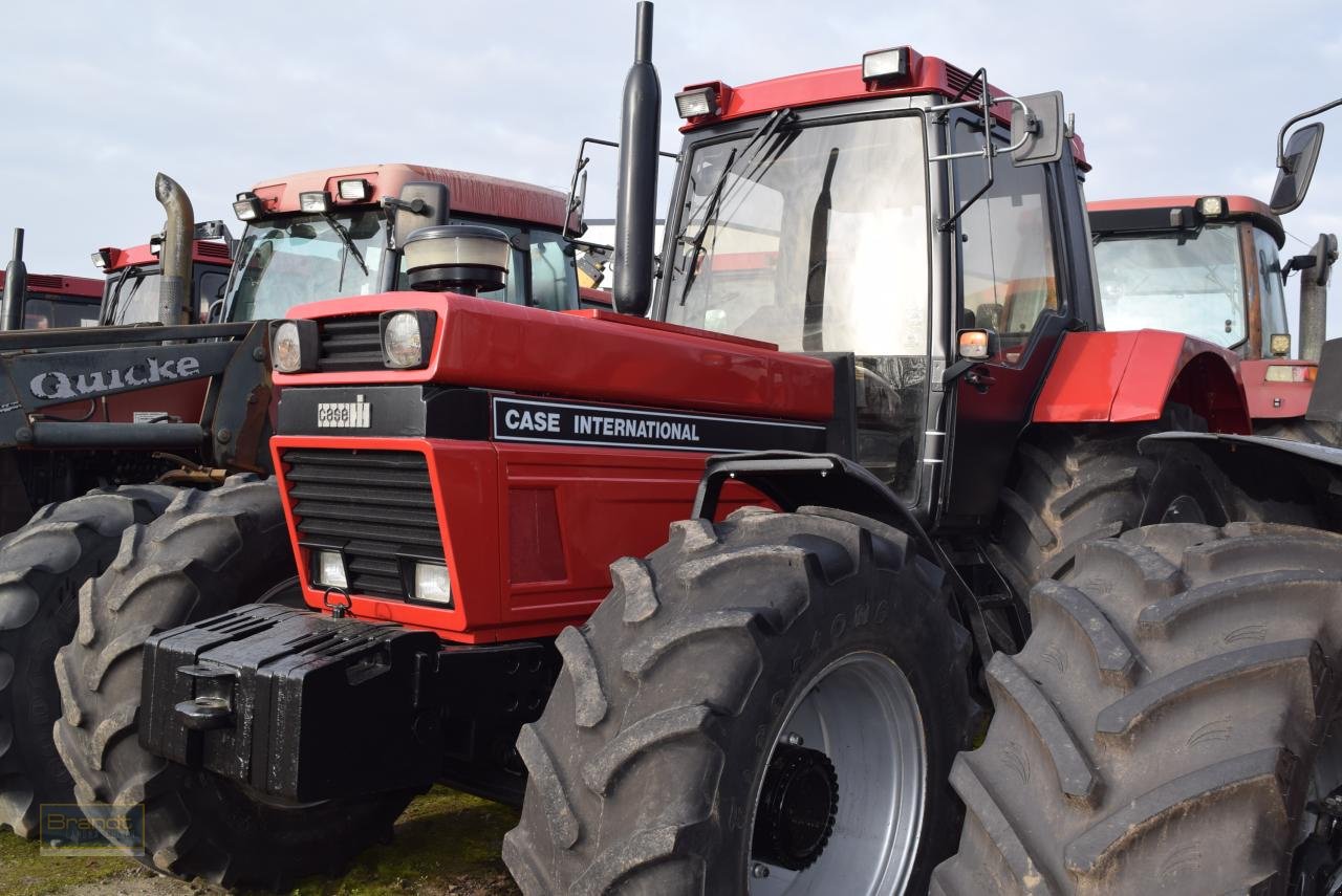 Traktor типа Case IH 1455 XL A, Gebrauchtmaschine в Oyten (Фотография 1)