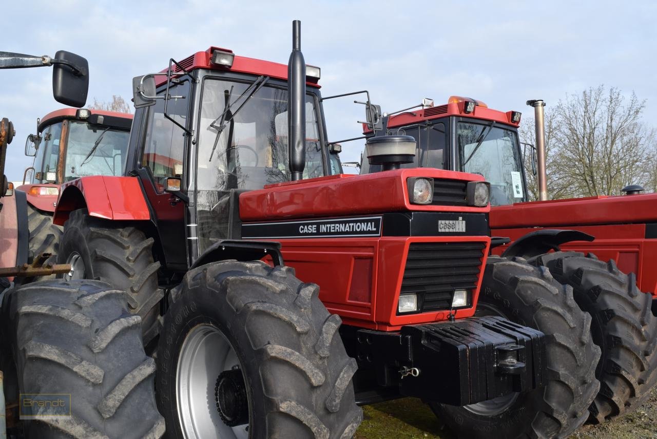 Traktor typu Case IH 1455 XL A, Gebrauchtmaschine v Oyten (Obrázek 3)