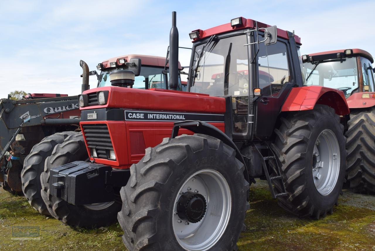 Traktor от тип Case IH 1455 XL A, Gebrauchtmaschine в Oyten (Снимка 2)