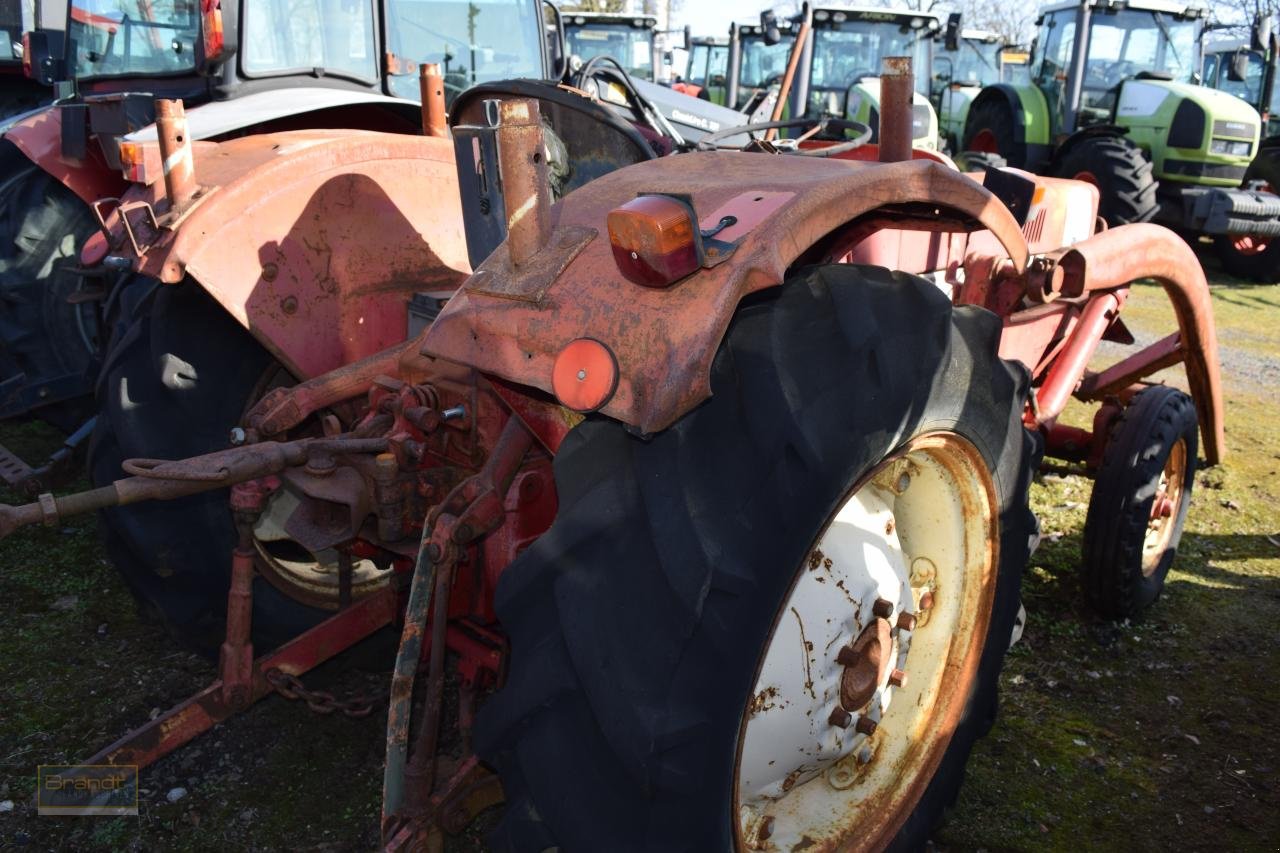 Traktor от тип Case IH 383, Gebrauchtmaschine в Oyten (Снимка 3)