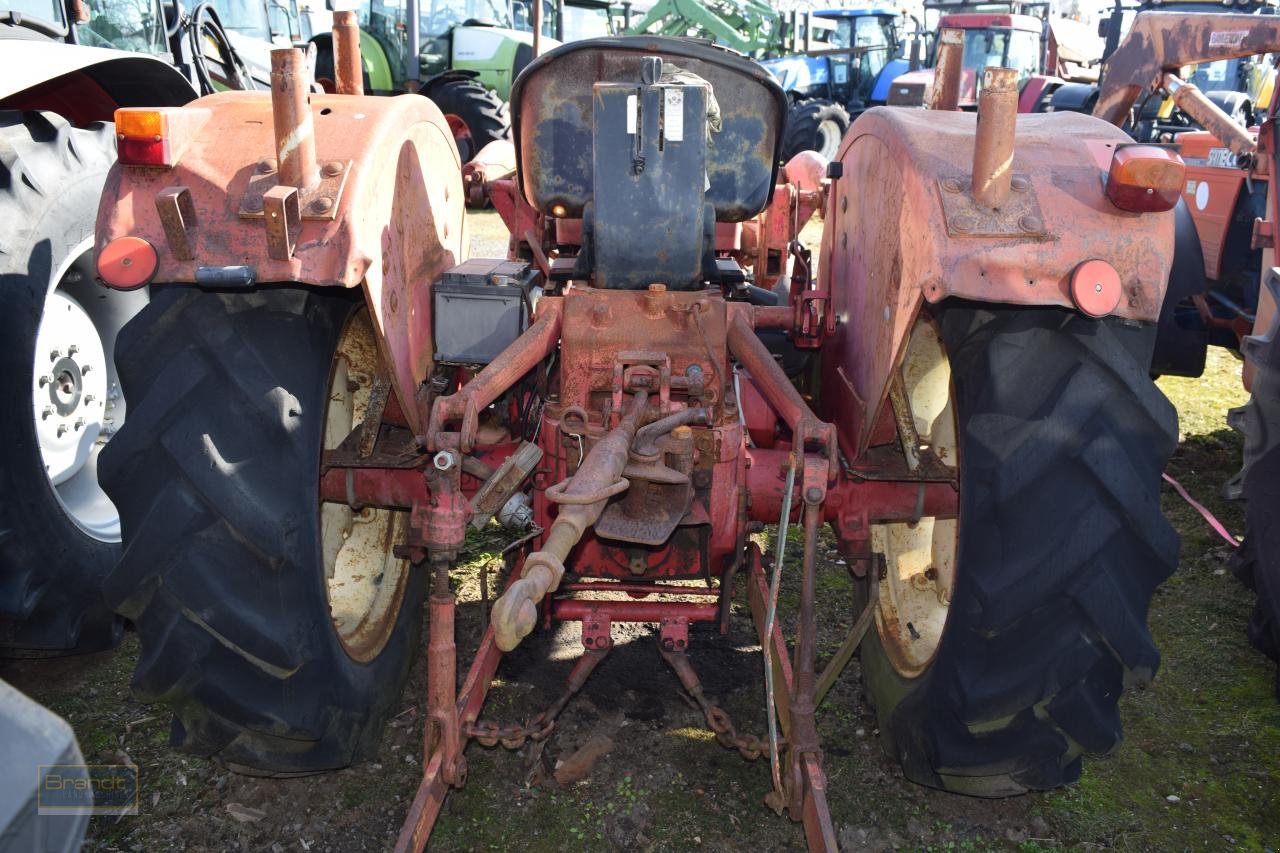 Traktor от тип Case IH 383, Gebrauchtmaschine в Oyten (Снимка 5)