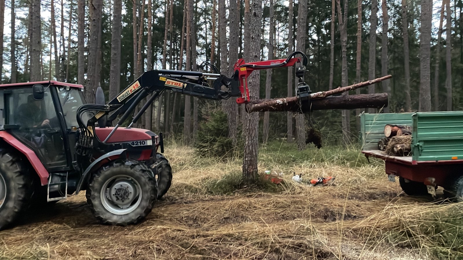 Traktor des Typs Case IH 4210, Gebrauchtmaschine in allersberg (Bild 3)