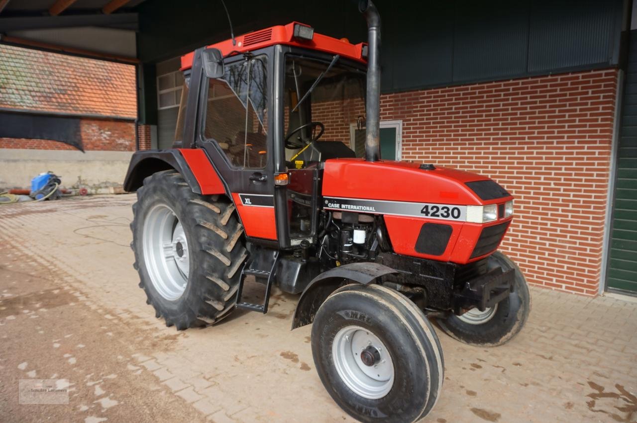 Traktor del tipo Case IH 4230 XL 2wd, Gebrauchtmaschine In Borken (Immagine 2)