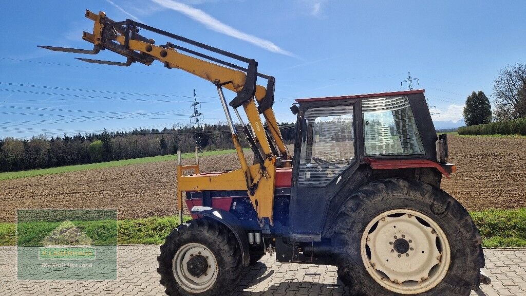 Traktor del tipo Case IH 585, Gebrauchtmaschine en Hofkirchen (Imagen 1)