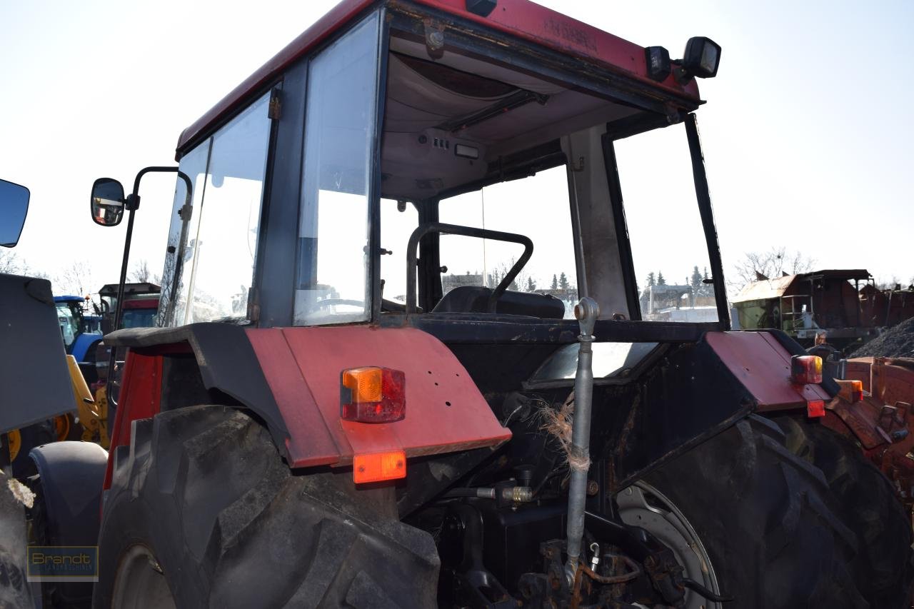 Traktor типа Case IH 840 A-V, Gebrauchtmaschine в Oyten (Фотография 4)