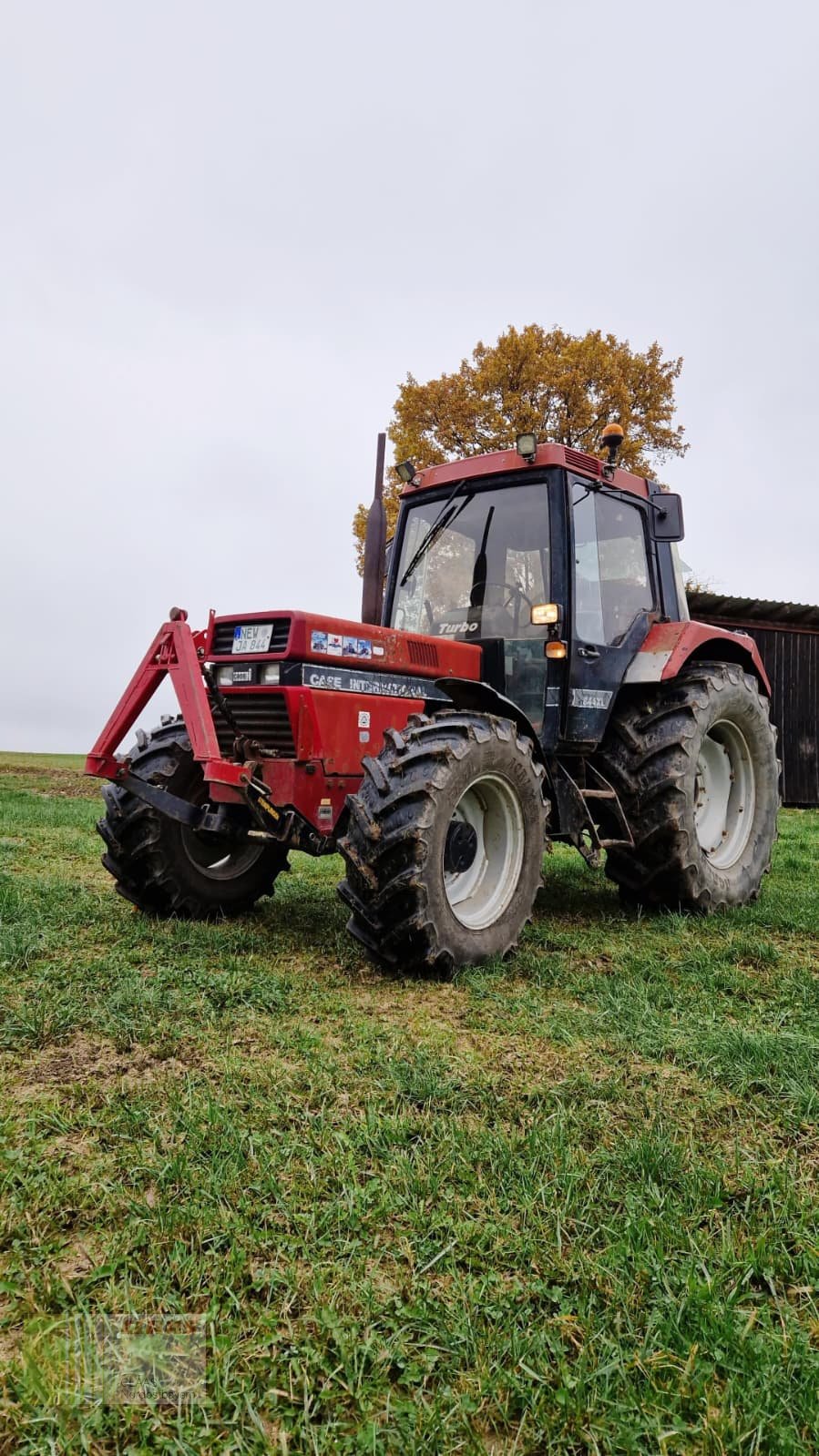 Traktor des Typs Case IH 844 XL, Gebrauchtmaschine in Altenstadt a.d. Waldnaab (Bild 1)