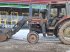 Traktor typu Case IH 885 XL, Gebrauchtmaschine v Rødekro (Obrázek 1)