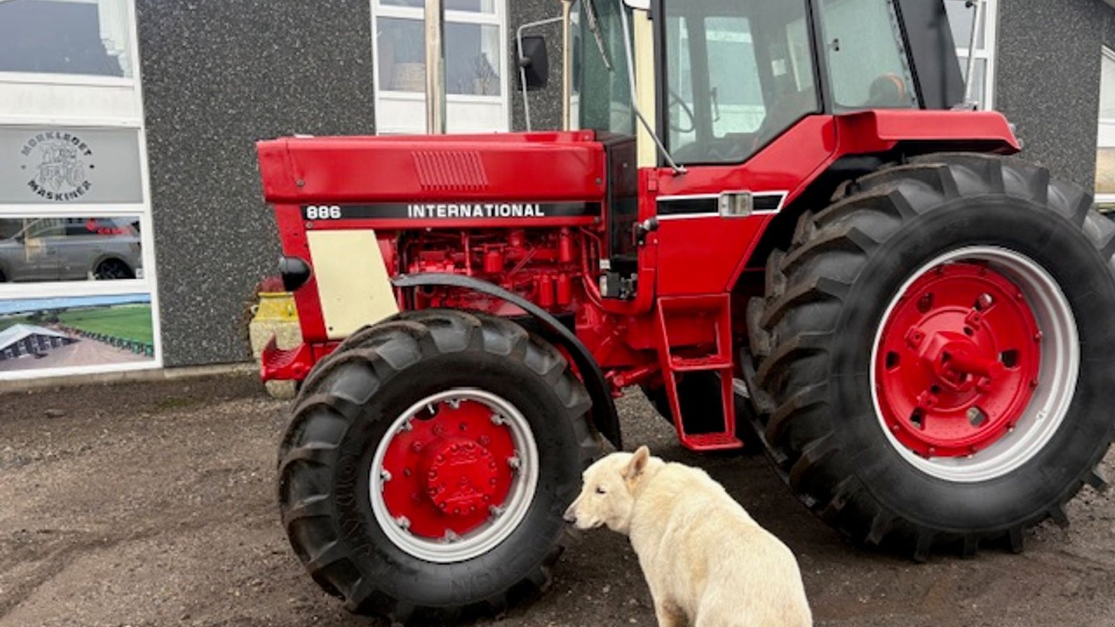 Traktor tip Case IH 886 NYRENOVERET, NYE DÆK, Gebrauchtmaschine in Dronninglund (Poză 1)