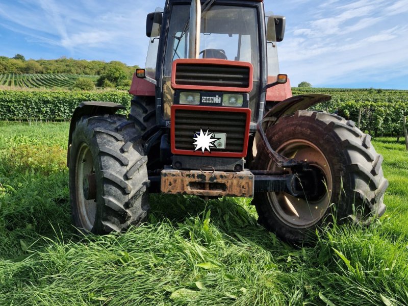 Traktor Türe ait Case IH 956 XLA, Gebrauchtmaschine içinde Aspisheim (resim 1)
