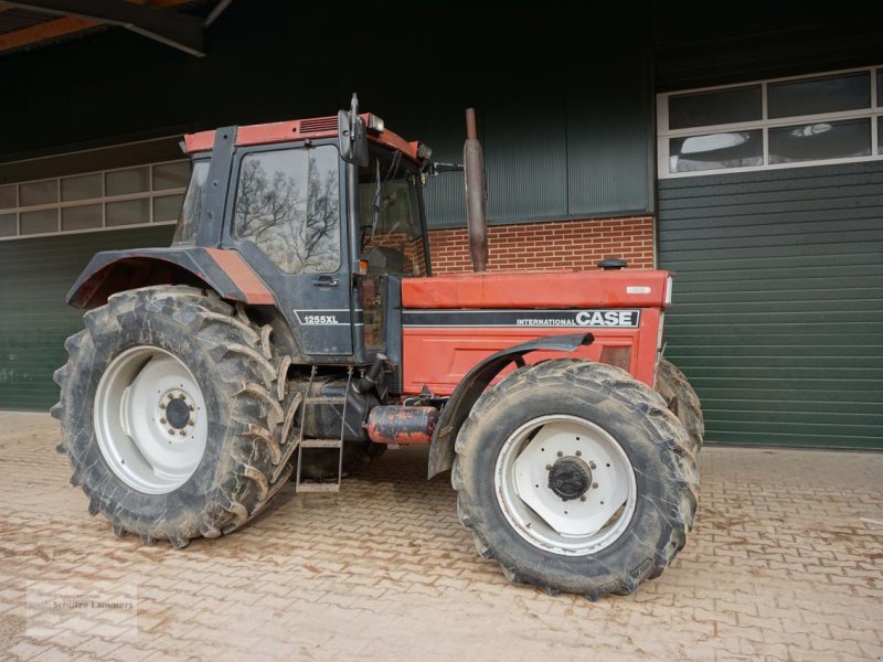 Traktor des Typs Case IH IHC 1255 XL, Gebrauchtmaschine in Borken (Bild 1)