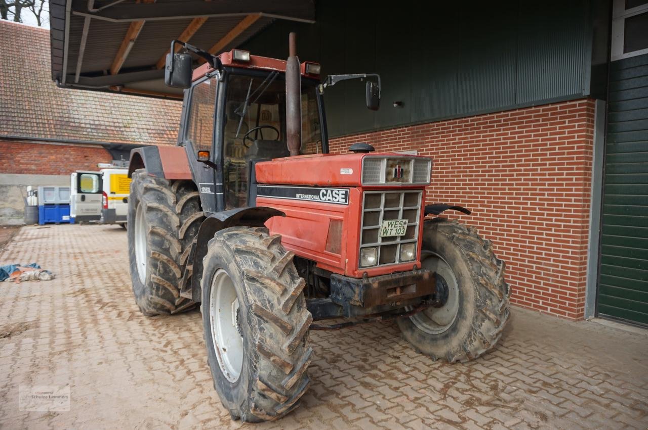 Traktor des Typs Case IH IHC 1255 XL, Gebrauchtmaschine in Borken (Bild 3)