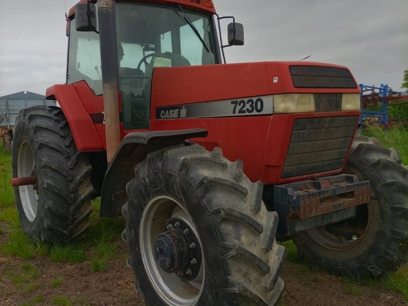 Traktor des Typs Case IH Magnum 7230, Gebrauchtmaschine in Oberloisdorf (Bild 1)