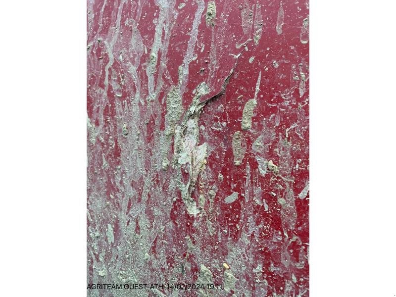 Traktor типа Case IH MAXXUM 110, Gebrauchtmaschine в SAINT GENEST D'AMBIERE (Фотография 5)