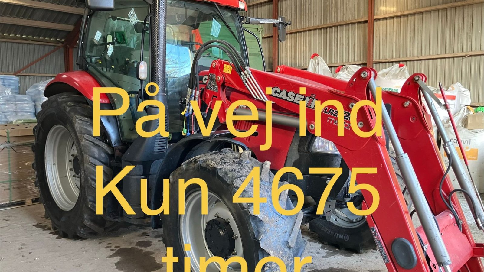 Traktor Türe ait Case IH MAXXUM 115 med Case IH LRZ120 frontlæsser, Gebrauchtmaschine içinde Grindsted (resim 1)