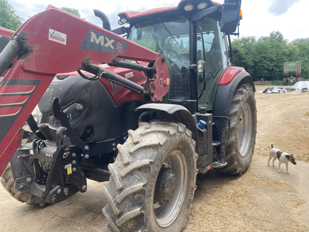 Traktor des Typs Case IH MAXXUM 115, Gebrauchtmaschine in CINTHEAUX (Bild 2)