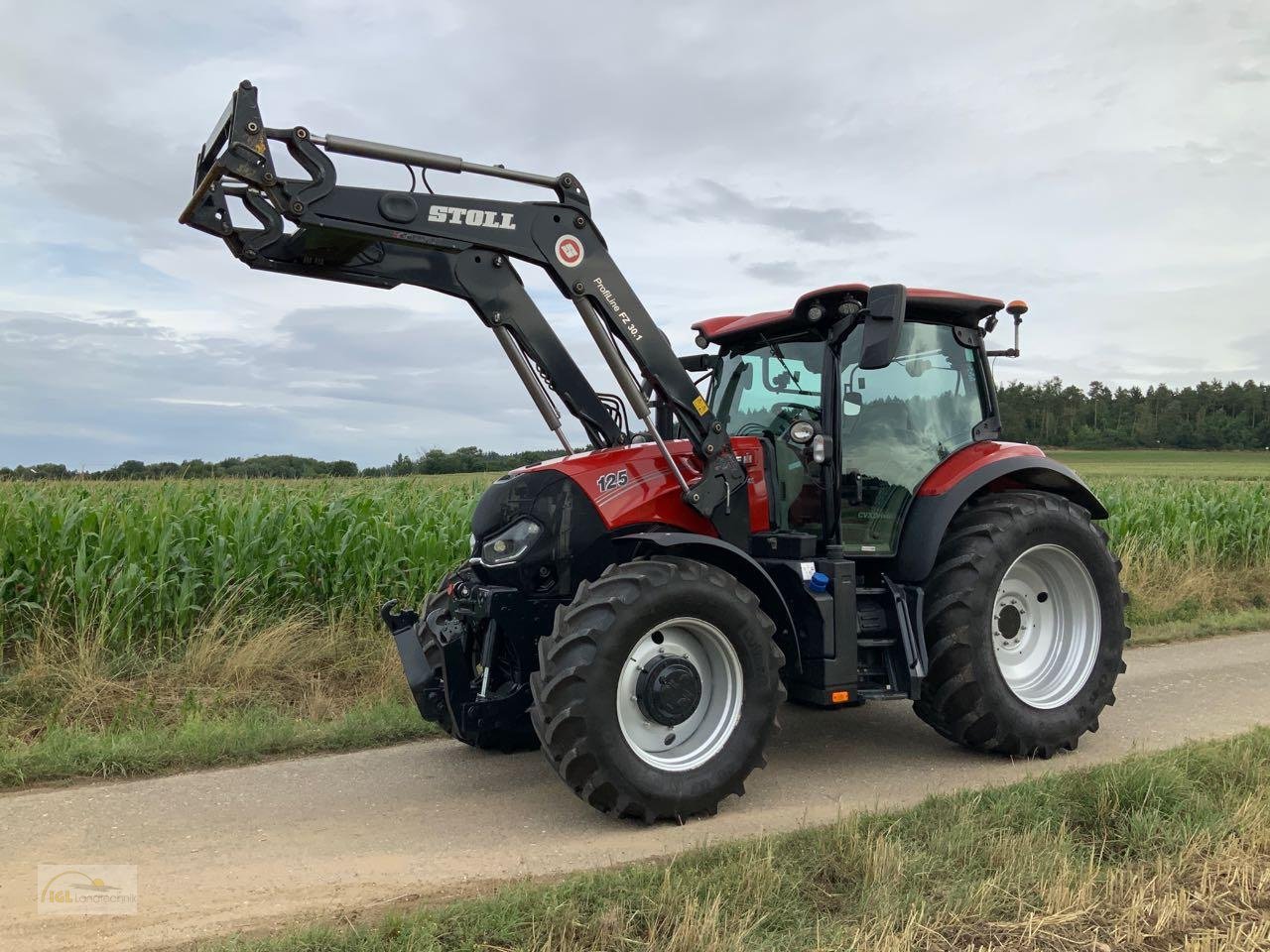 Traktor от тип Case IH Maxxum 125 CVX, Gebrauchtmaschine в Pfreimd (Снимка 1)