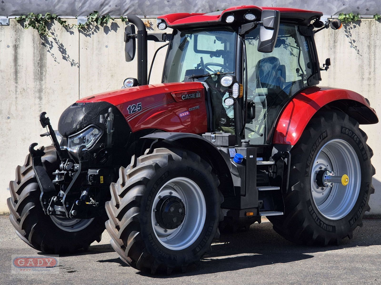 Traktor des Typs Case IH Maxxum 125 CVXDrive, Neumaschine in Lebring (Bild 1)