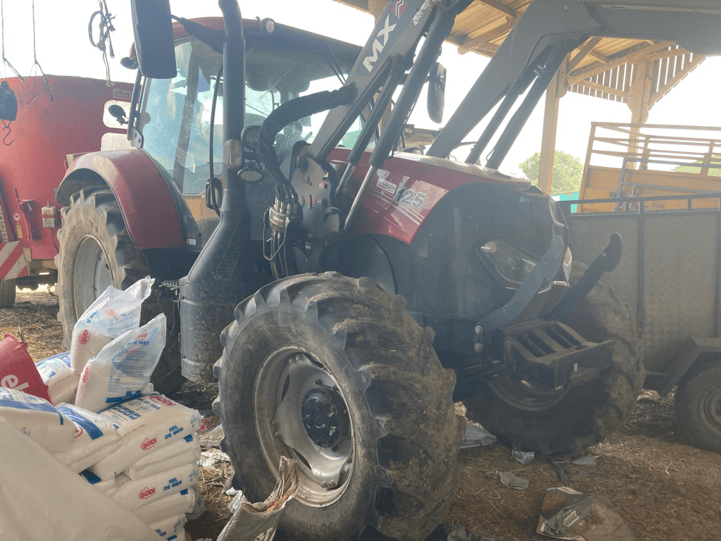 Traktor Türe ait Case IH MAXXUM 125 MULTICONTROLLE, Gebrauchtmaschine içinde ISIGNY-LE-BUAT (resim 1)