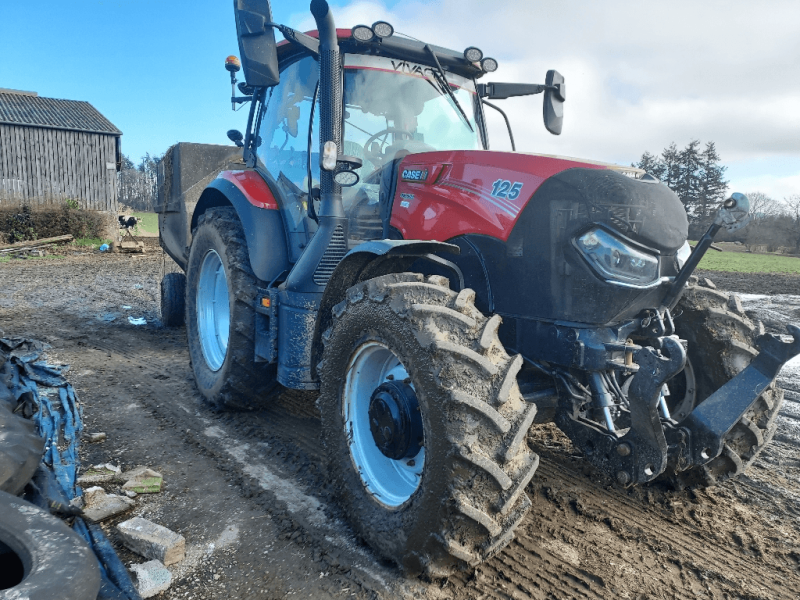 Traktor of the type Case IH MAXXUM 125, Gebrauchtmaschine in ISIGNY-LE-BUAT (Picture 1)