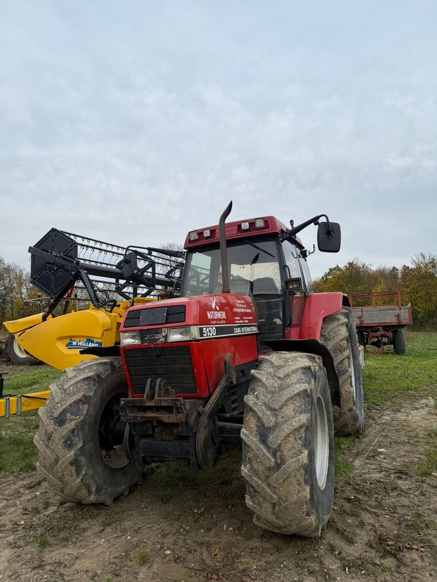 Traktor del tipo Case IH Maxxum 5130, Gebrauchtmaschine en Nieheim Kreis Höxter (Imagen 4)